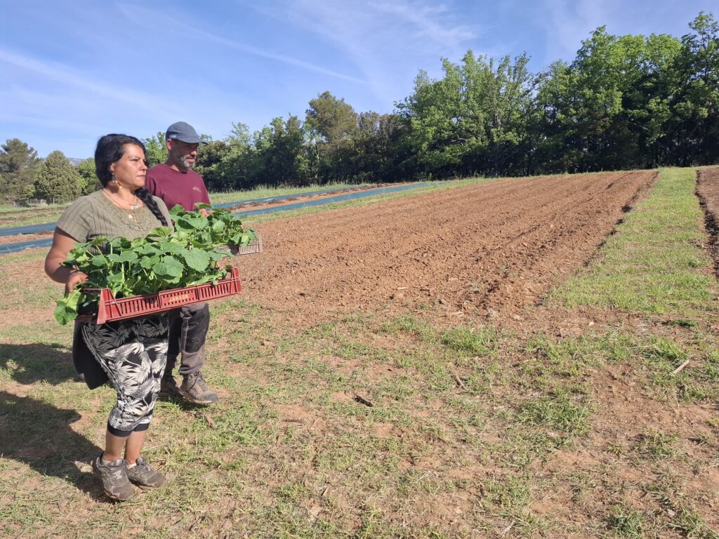 Joël et ses stagiaires