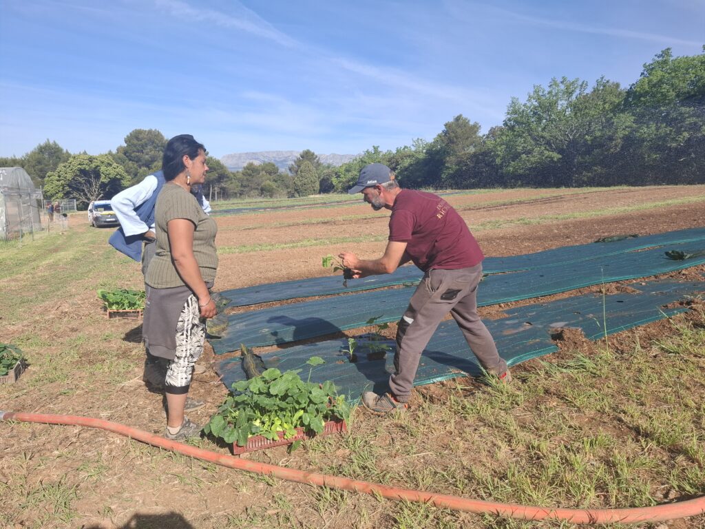 Joël et ses stagiaires