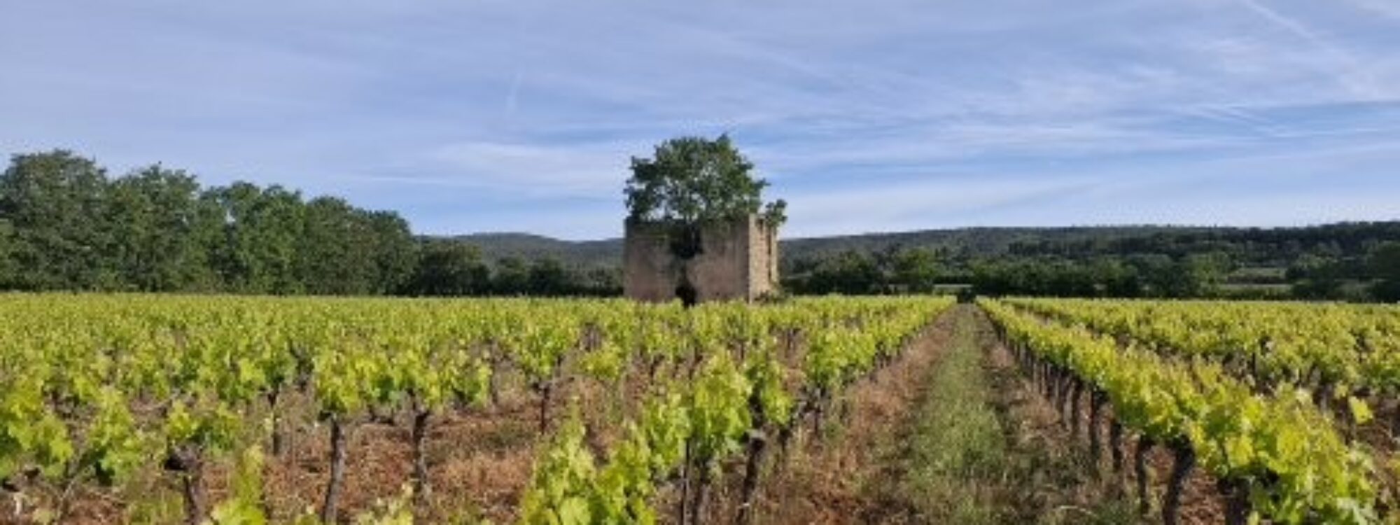 Pourrières