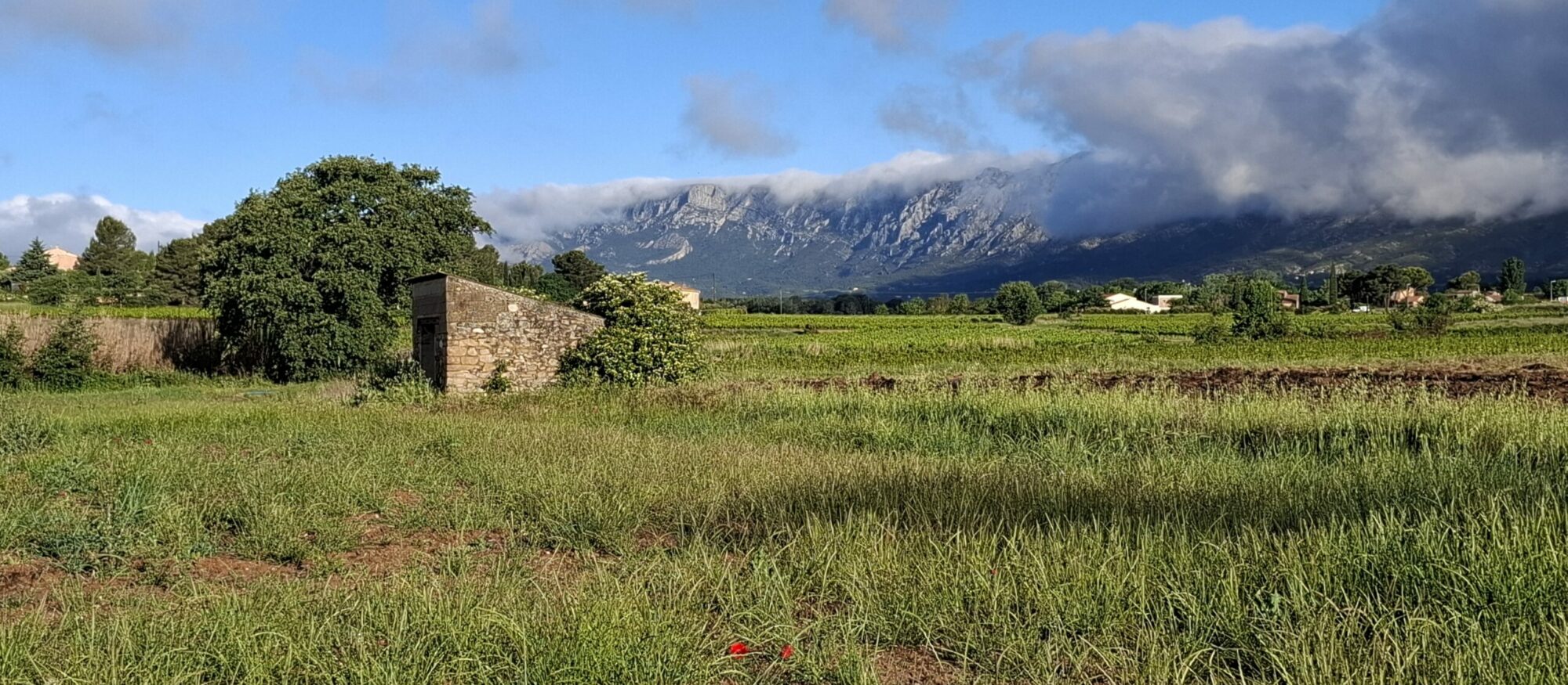 Pourrières
