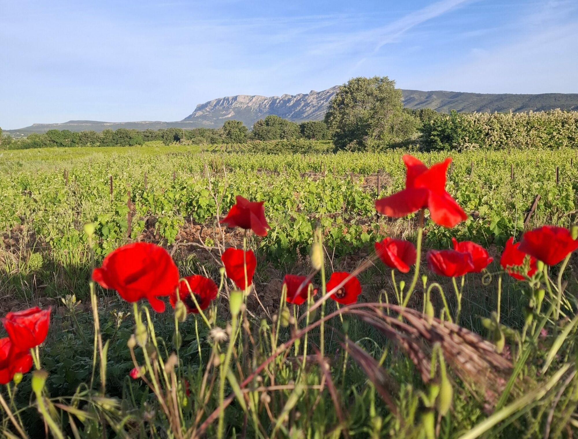 Pourrières